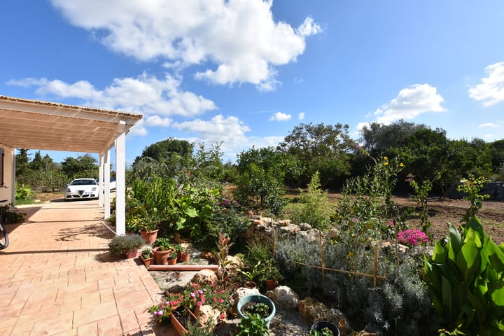 Foto 77 van Strada Vicinale Murruzzulu Tranco A