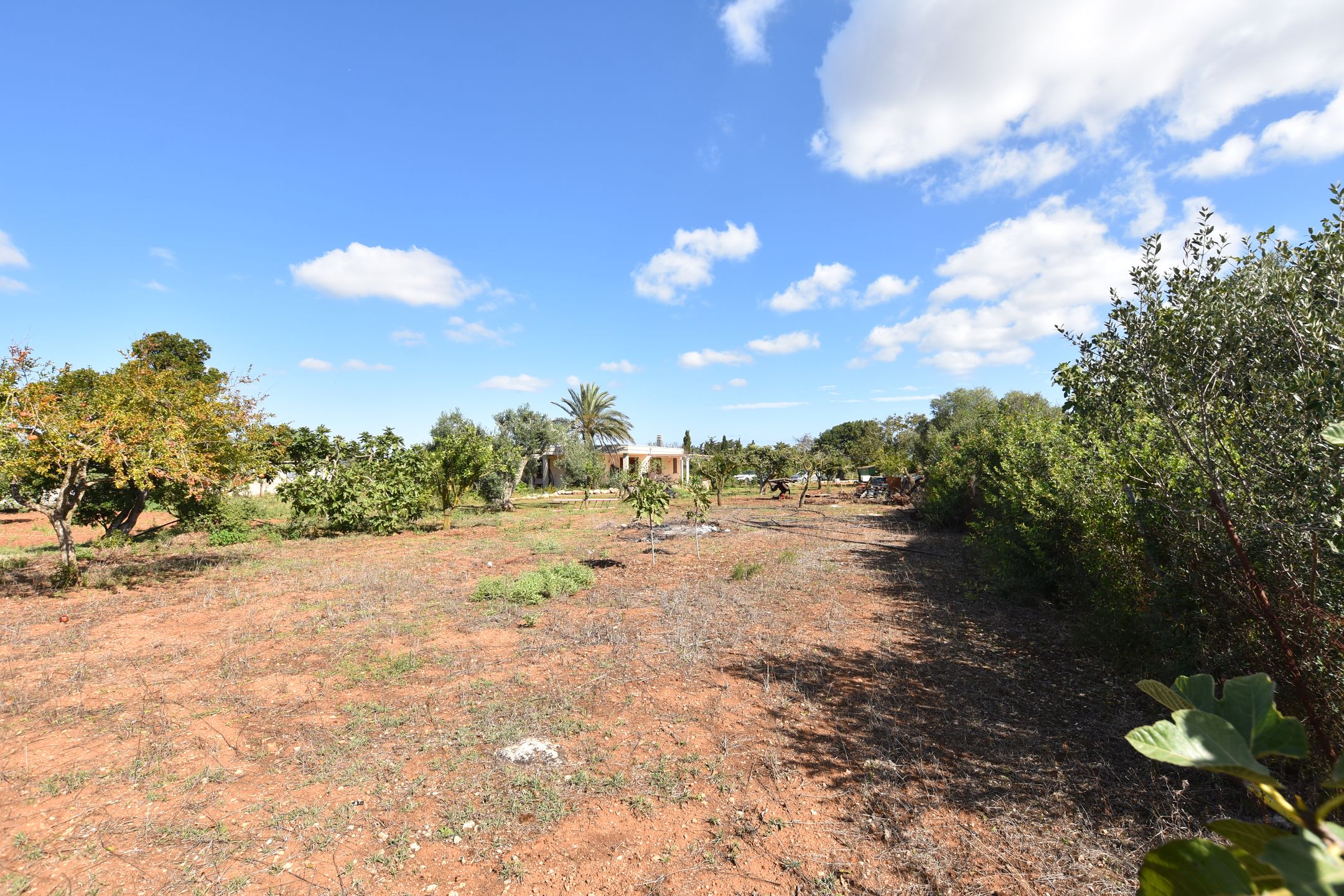 Foto 78 van Strada Vicinale Murruzzulu Tranco A