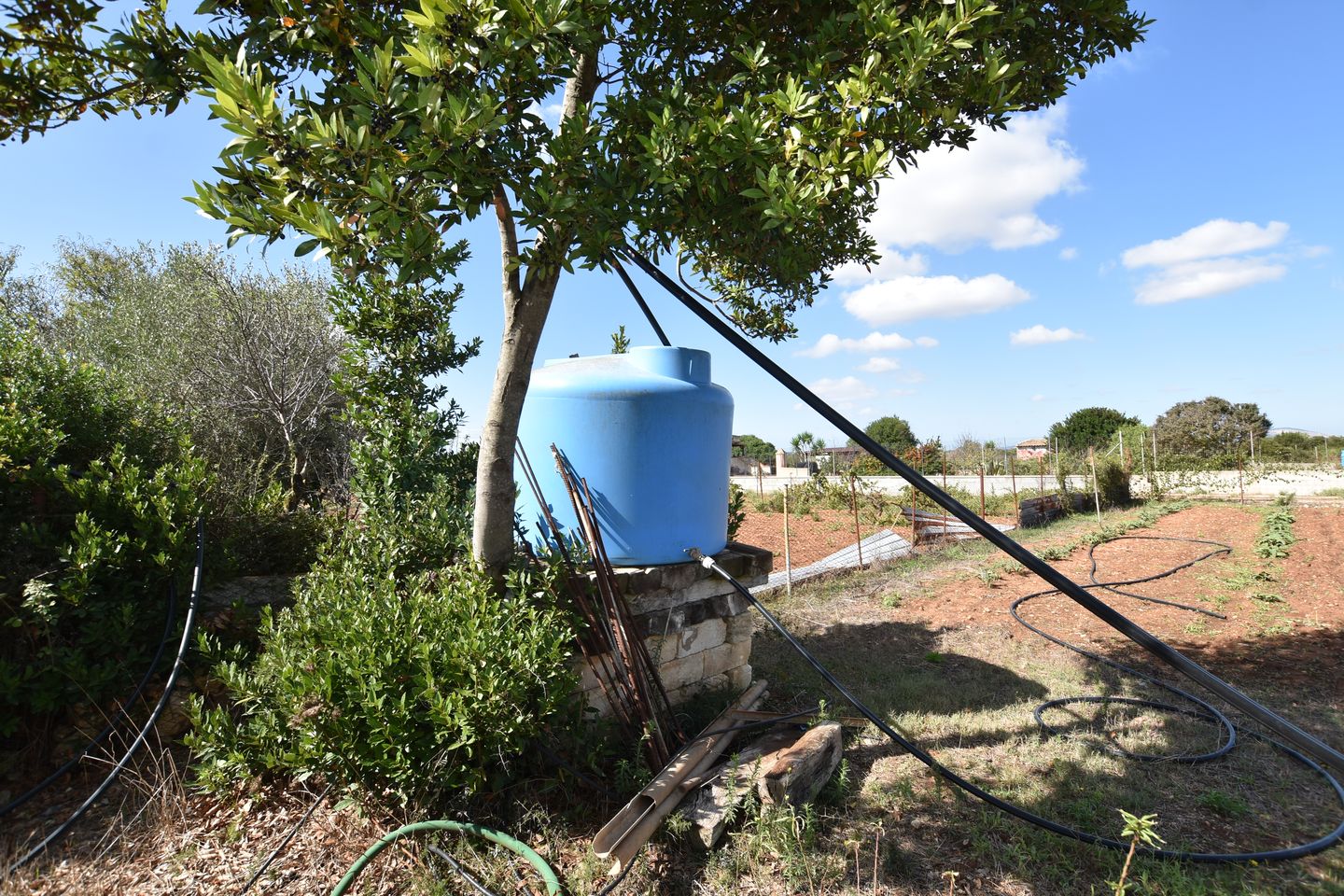 Foto 79 van Strada Vicinale Murruzzulu Tranco A