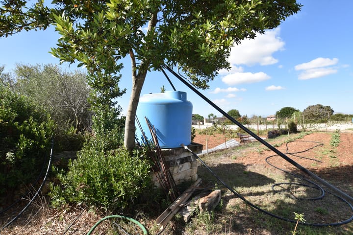 Foto 79 van Strada Vicinale Murruzzulu Tranco A