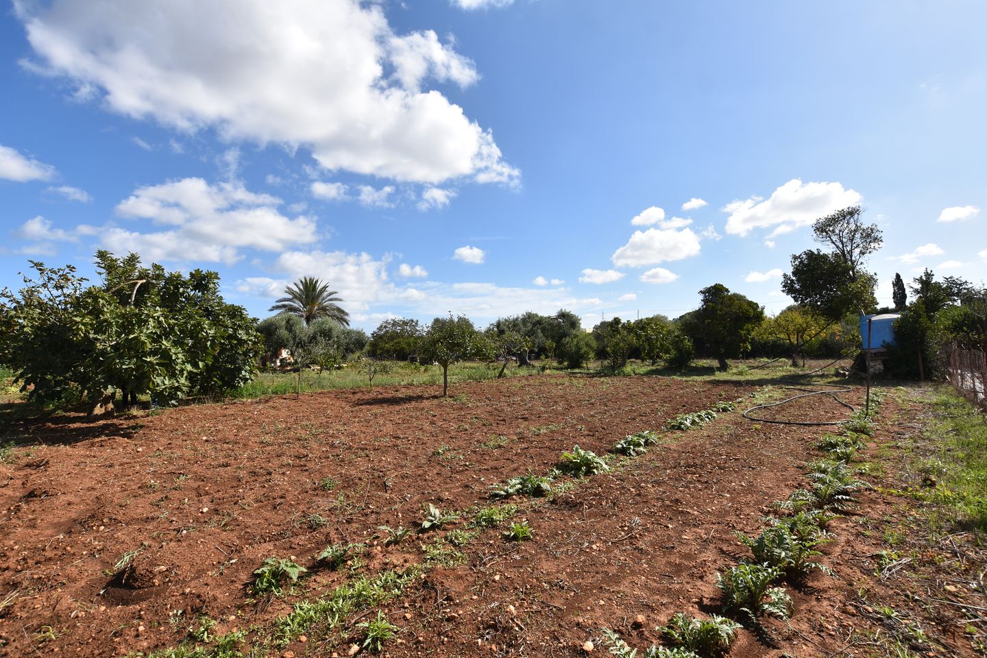 Foto 80 van Strada Vicinale Murruzzulu Tranco A