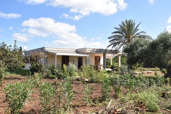 Foto 82 van Strada Vicinale Murruzzulu Tranco A