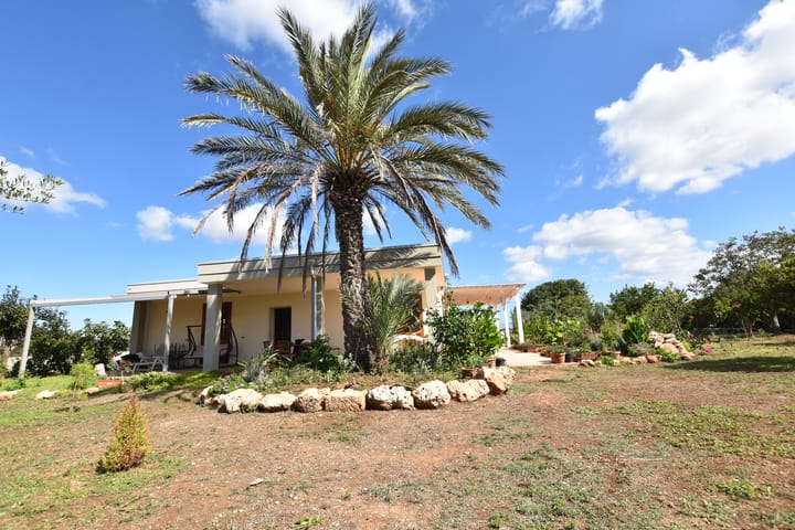 Foto 84 van Strada Vicinale Murruzzulu Tranco A