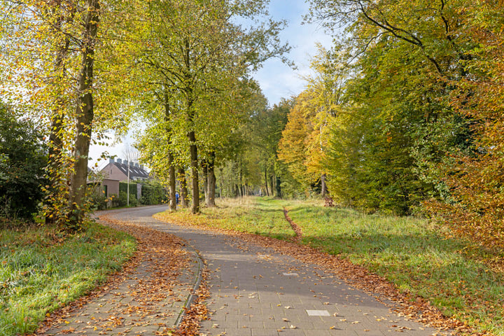 Bekijk foto 31 van Sluisgraaf 7