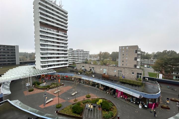 Bekijk foto 12 van Houtweg 193