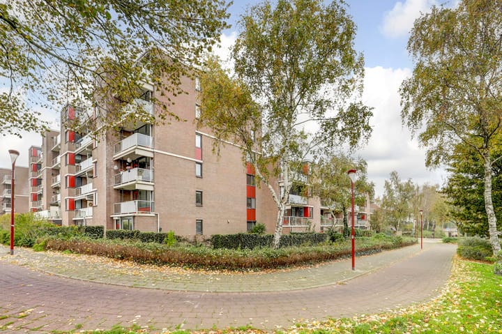 Foto 3 van Vloedmonde 5