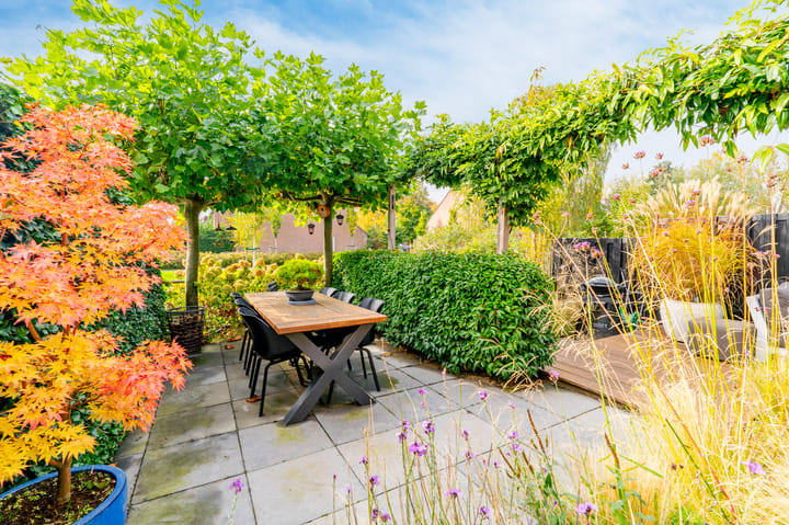 Foto 17 van Rechtsbuitenstraat 24