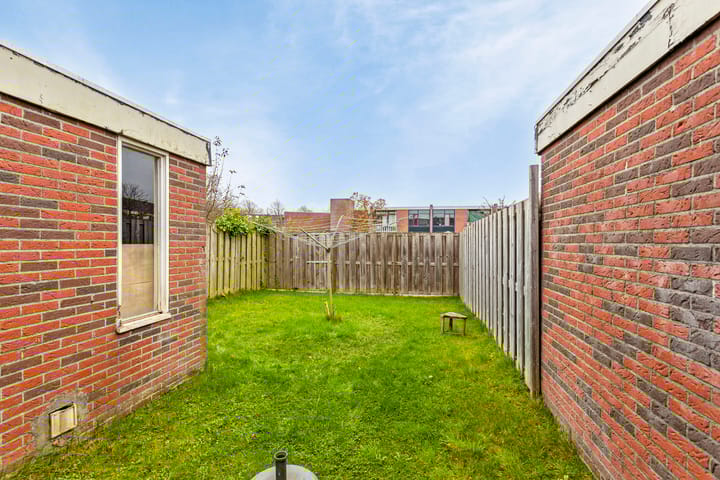 Foto 21 van Tulipastrjitte 22