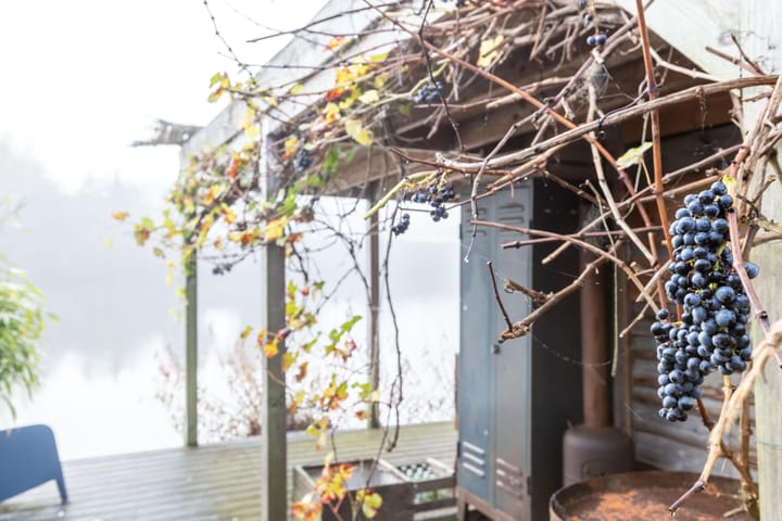 Foto 2 van Waterhoenstraat 22