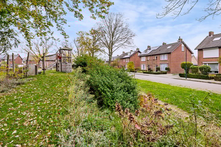 Foto 3 van Terlingenplein 40