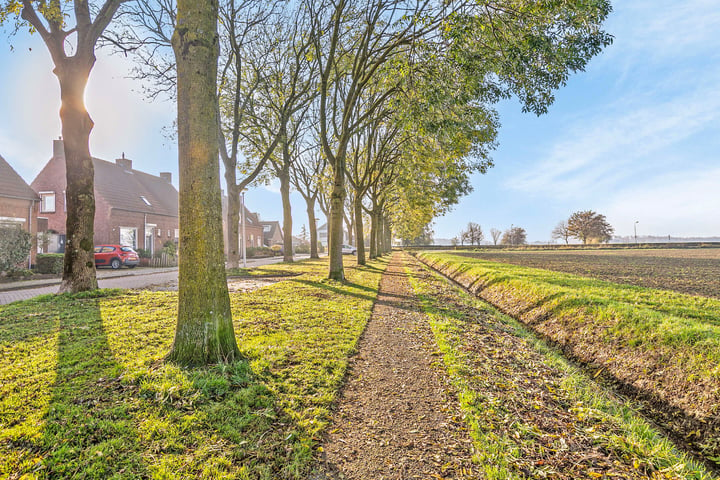 Bekijk foto 41 van Graaf Engelbrechtstraat 42