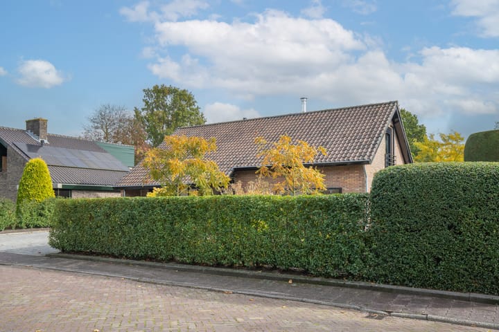 Foto 60 van Rozenhaag 29