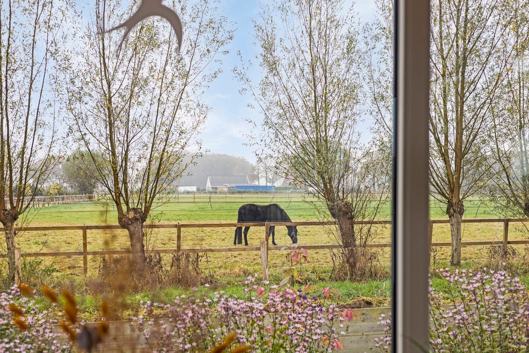 Foto 11 van Needseweg 21