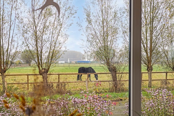 Foto 11 van Needseweg 21