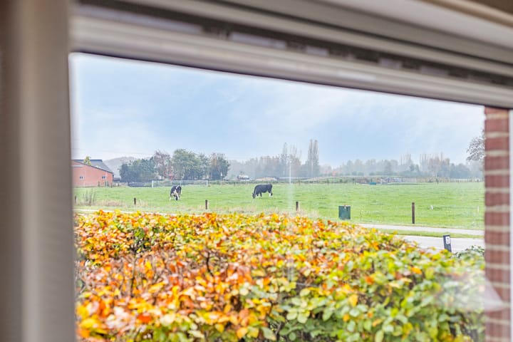 Foto 17 van Needseweg 21