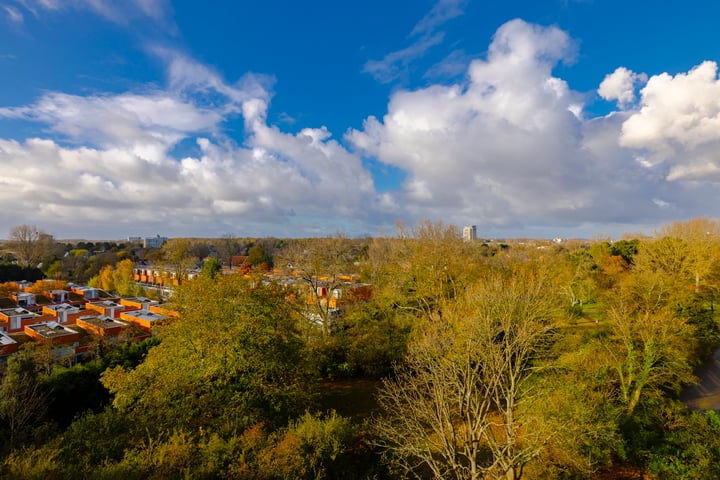 Bekijk foto 15 van Engelandlaan 506