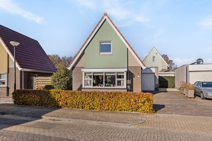 undefined main image