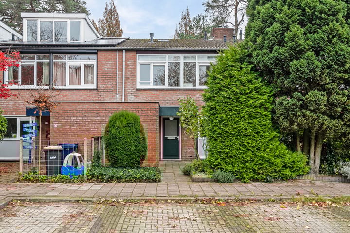 Foto 2 van Apollo 69