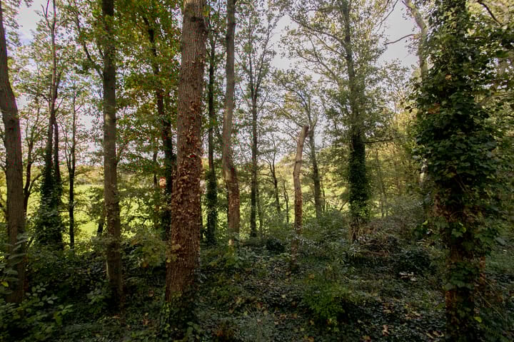 Foto 29 van Maalbekerweg 25-418