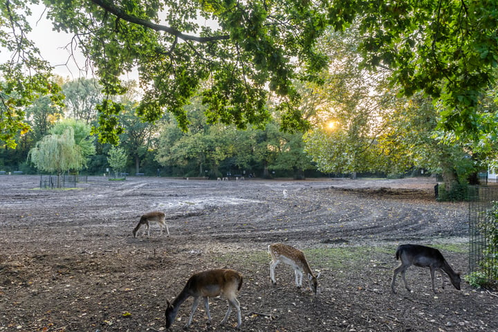 Bekijk foto 43 van Muyskenweg 1