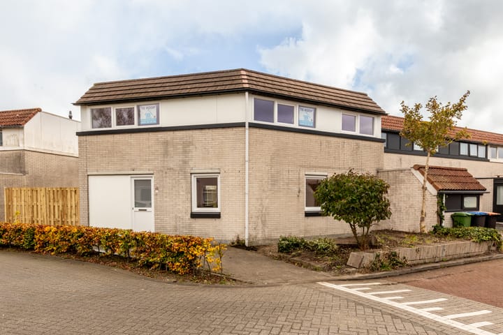 Foto 3 van Galjoen 26 1