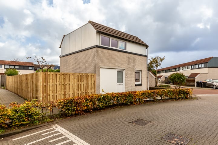 Foto 4 van Galjoen 26 1