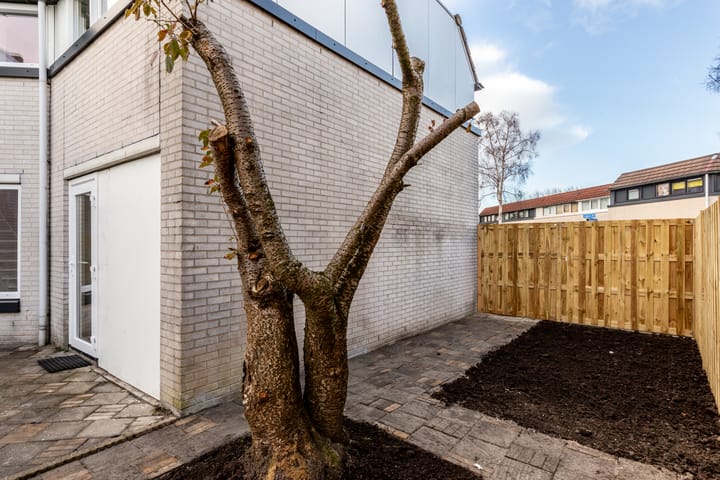 Foto 22 van Galjoen 26 1