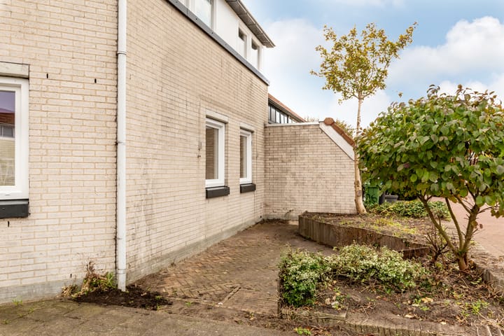 Foto 24 van Galjoen 26 1