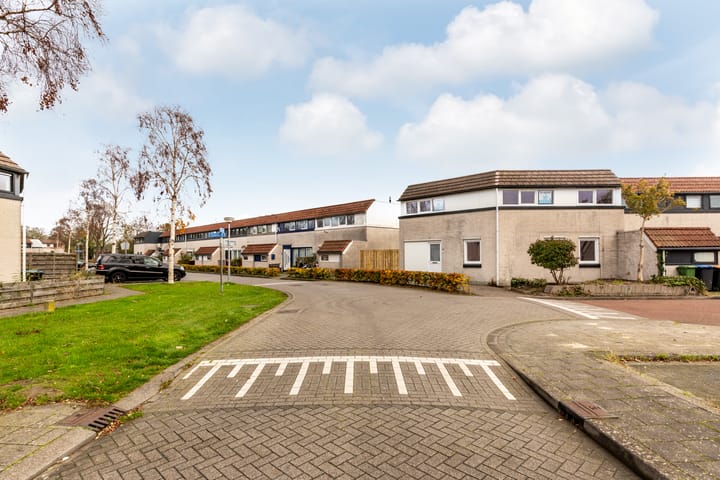 Foto 26 van Galjoen 26 1