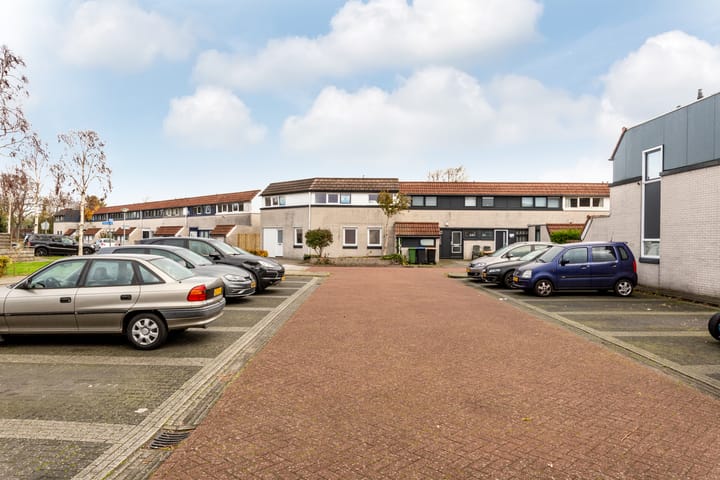 Foto 27 van Galjoen 26 1