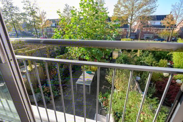 Foto 11 van de Vaart 31