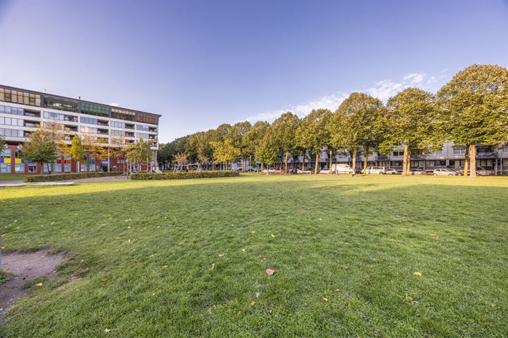 Bekijk foto 43 van Laan op Zuid 1241