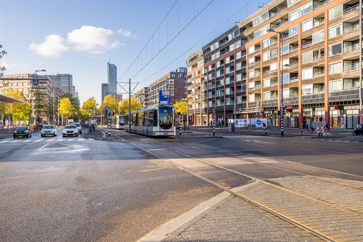 Bekijk foto 44 van Laan op Zuid 1241