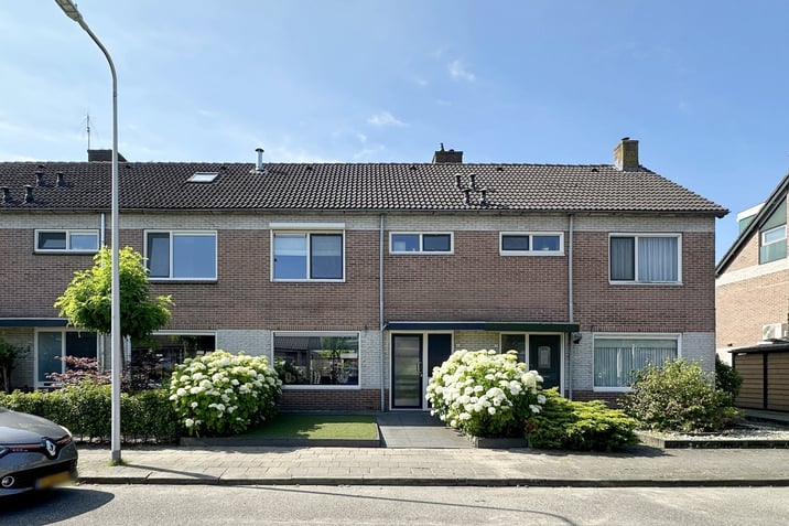 undefined main image