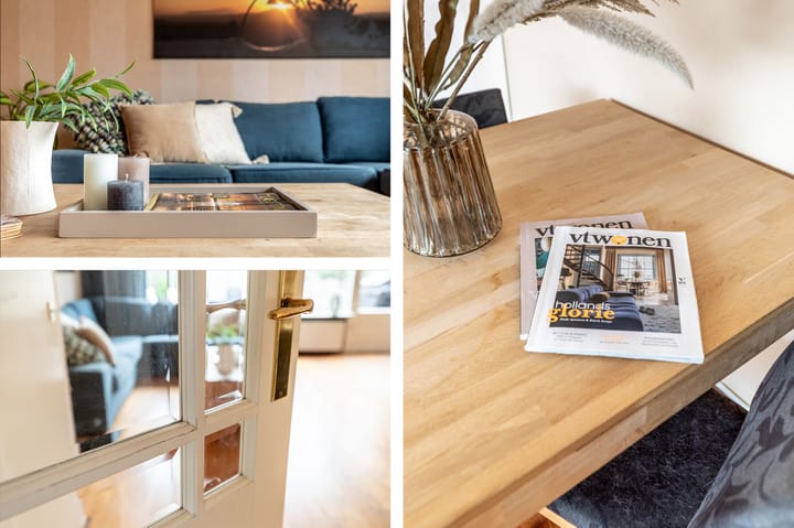 Foto 12 van Koggenland 270