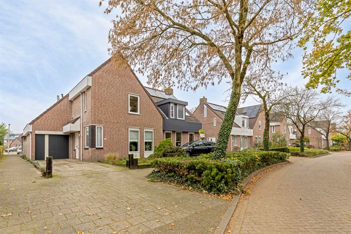 Torenstraat 113