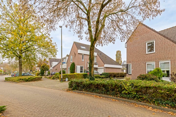 Foto 36 van Torenstraat 113