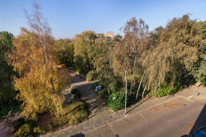 Bekijk foto 21 van Broekweg 164-D