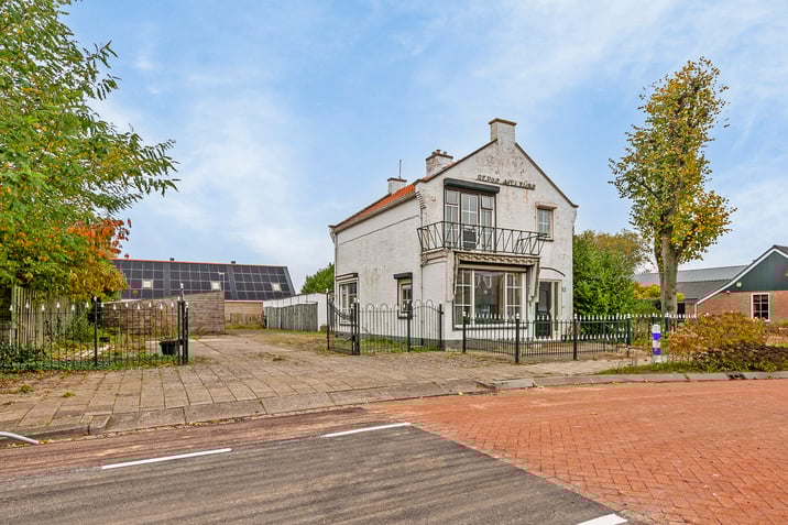 undefined main image
