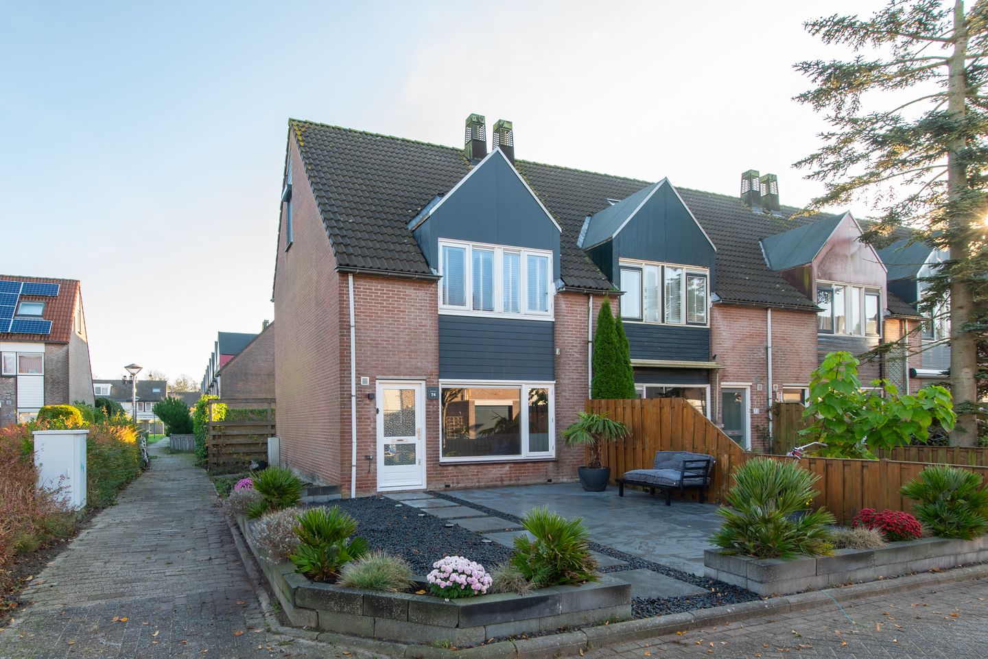 Foto 1 van Ridderspoor 74