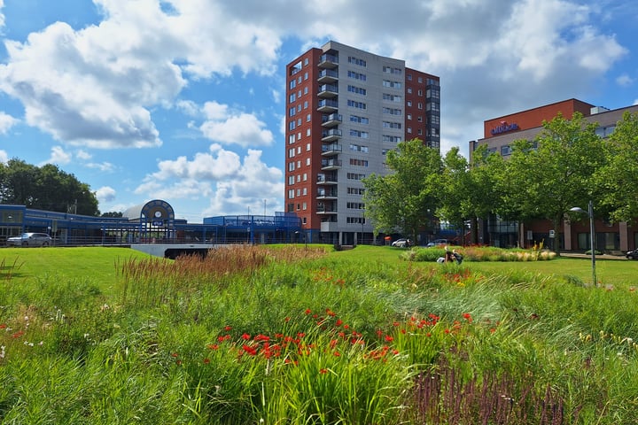 Bekijk foto 1 van Trambaan 55