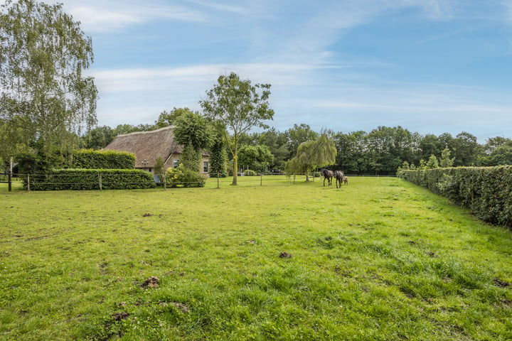 Bekijk foto 50 van Oshaarseweg 43