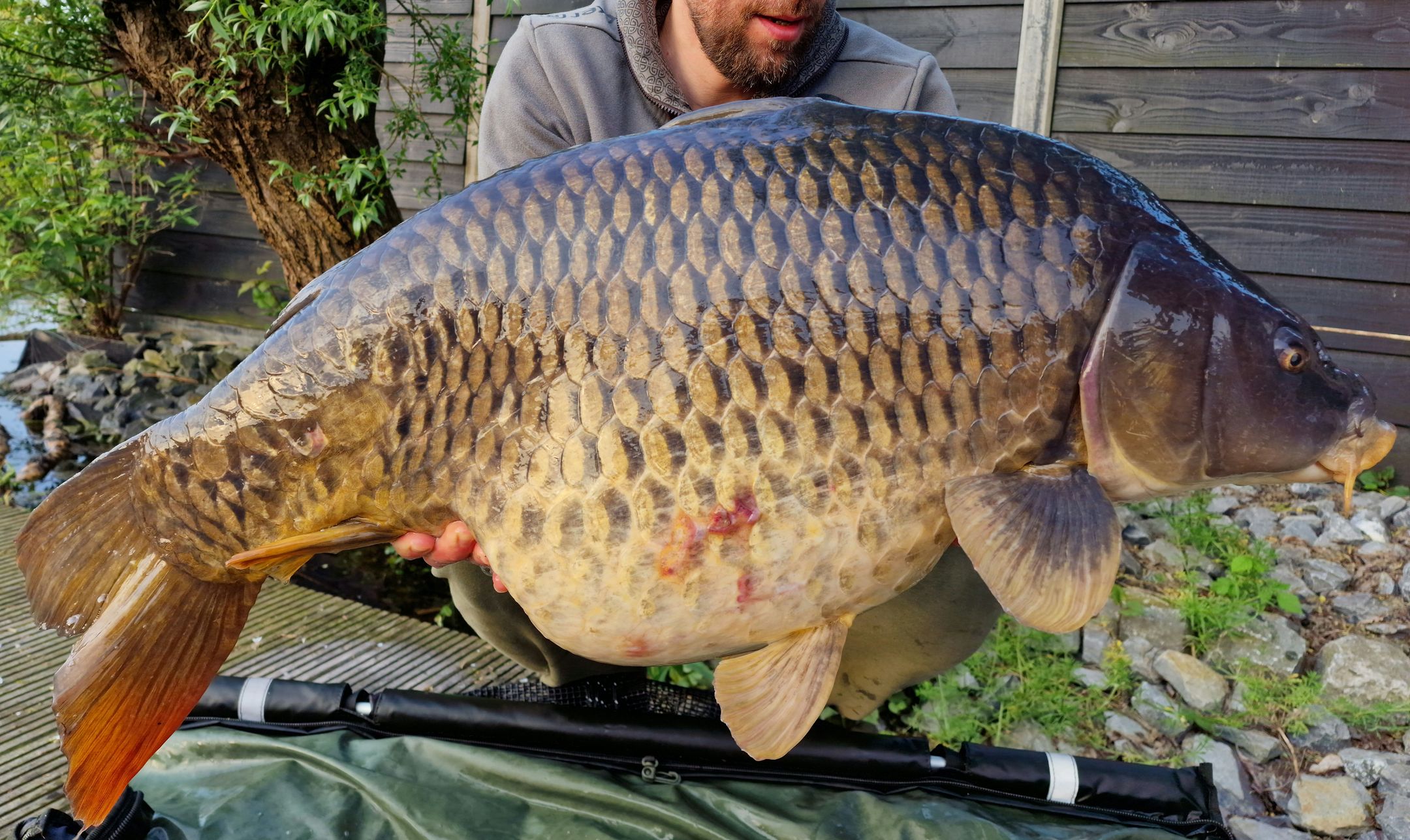 Foto 27 van Pruimendijk 60