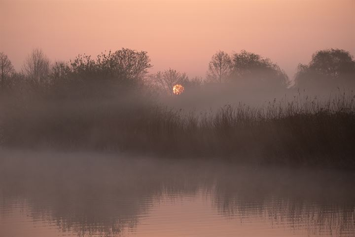 Bekijk foto 28 van Pruimendijk 60