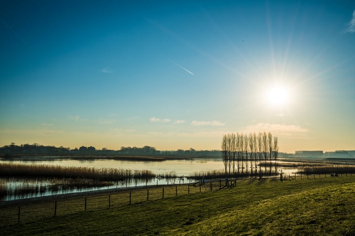 Bekijk foto 44 van Pruimendijk 60