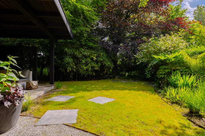 Foto 43 van Dijkzichtlaan 5