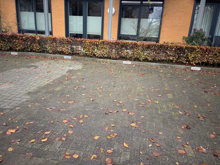 Foto 29 van Beukenlaan 32