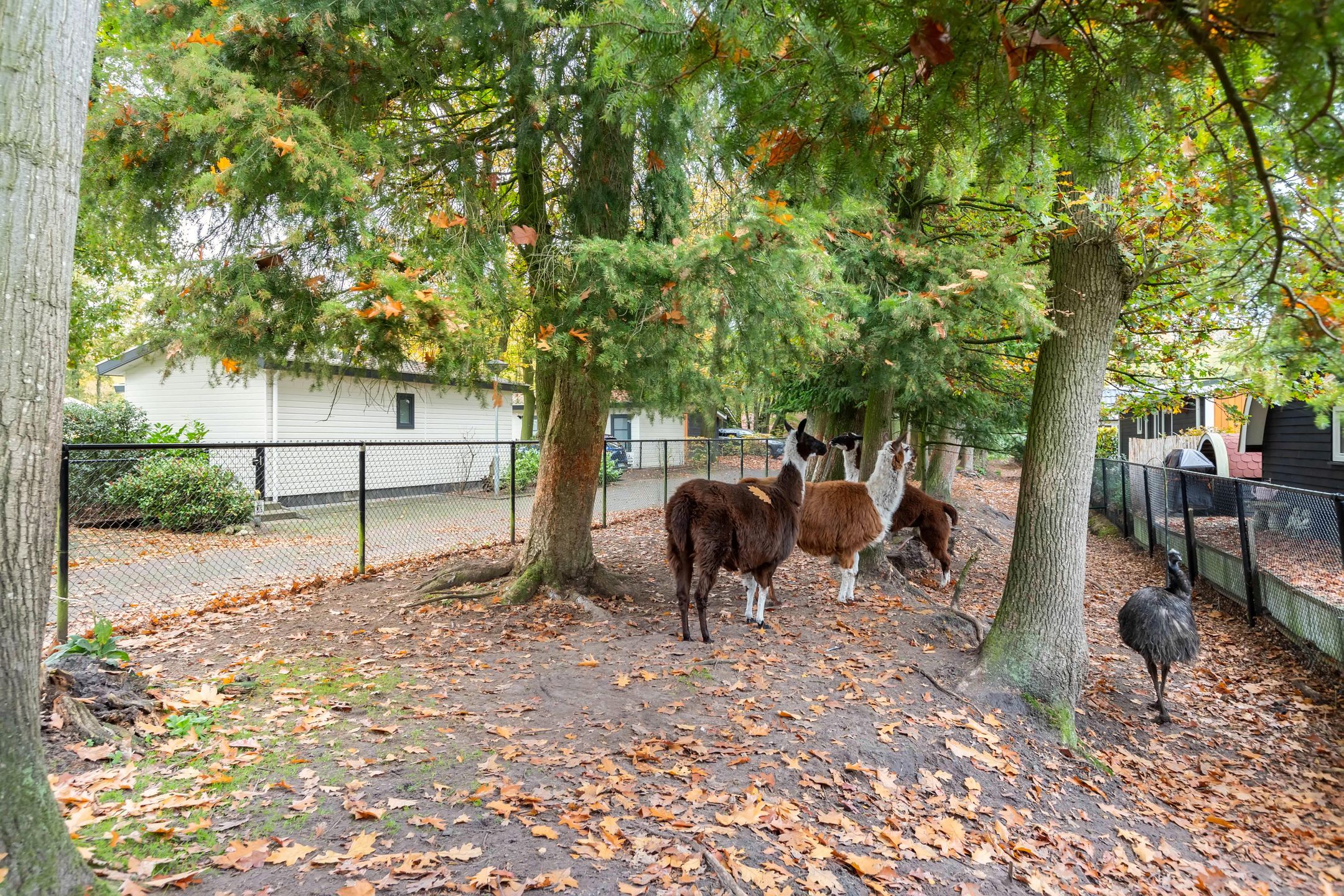 Foto 30 van Bultweg 25-R69