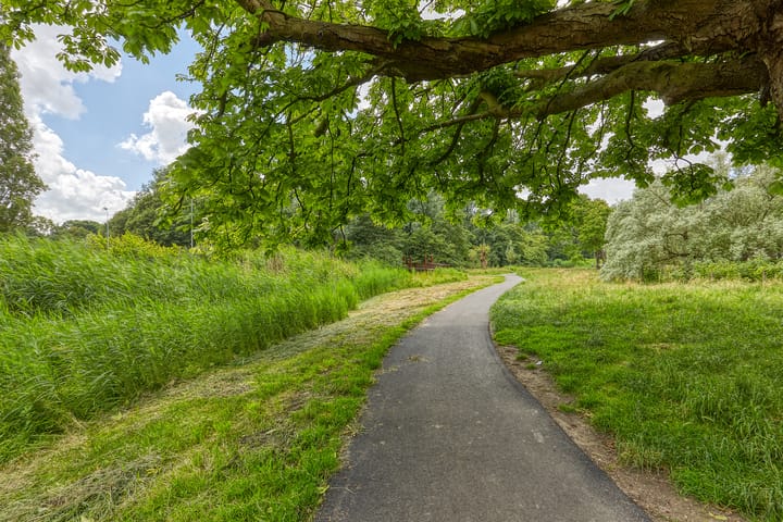 Foto 28 van Allard Piersonlaan 271