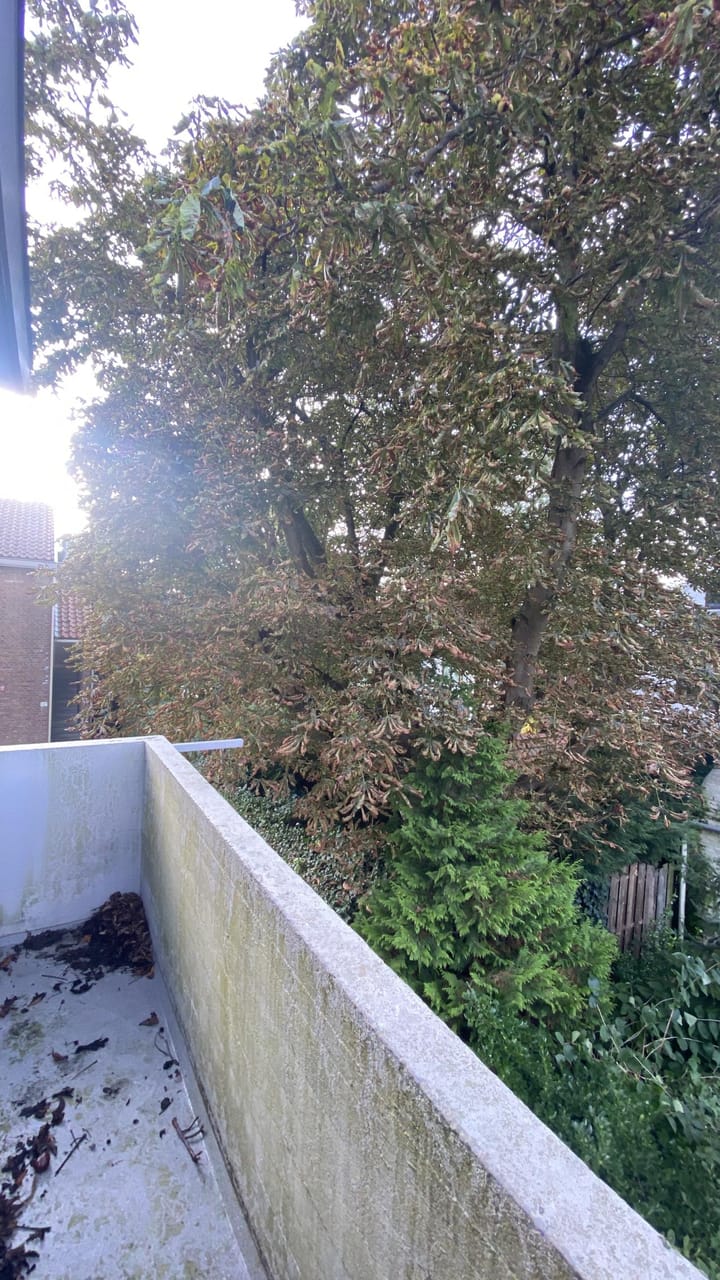 Foto 29 van Van Goijenstraat 9-A